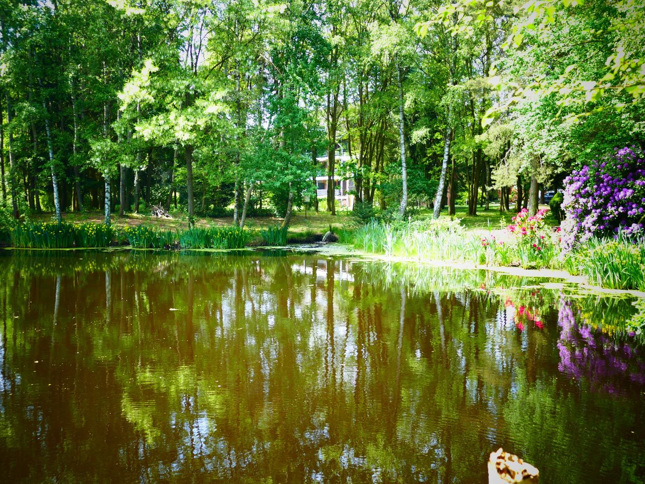 Kuschelzeit - Romantik und Entspannung in der Heide