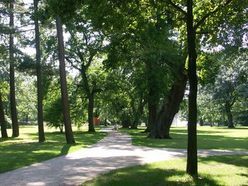 Romantiktage in der Heide