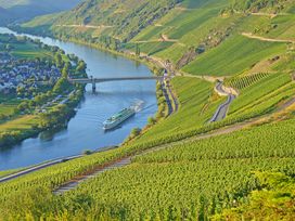 Prost Neuhjahr - Silvesterabend im WohnGut Koblenz