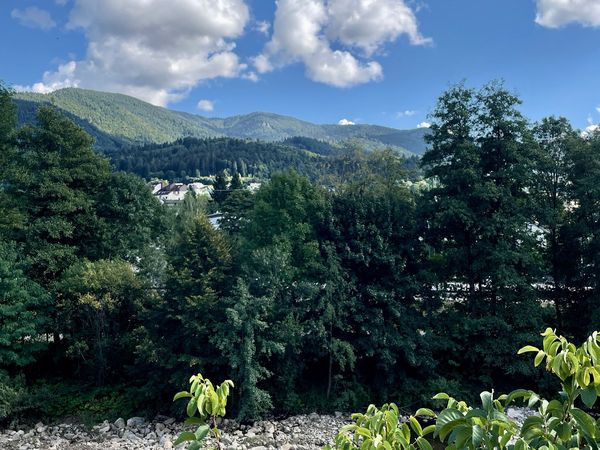 4 Tage KingSize Auszeit zwischen Fluss und Bergen in Waldkirch Frühstück