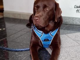 3 Tage Wellness & Romantik