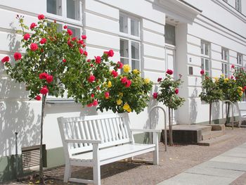 3 Tage Auszeit auf Rügen mit Halbpension