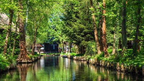 Spreewald