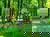 2 Tage Therme & Genuss nahe der Spreewald-Therme