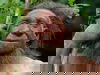 Urlaub in NRW - Auf den Spuren des Neandertaler