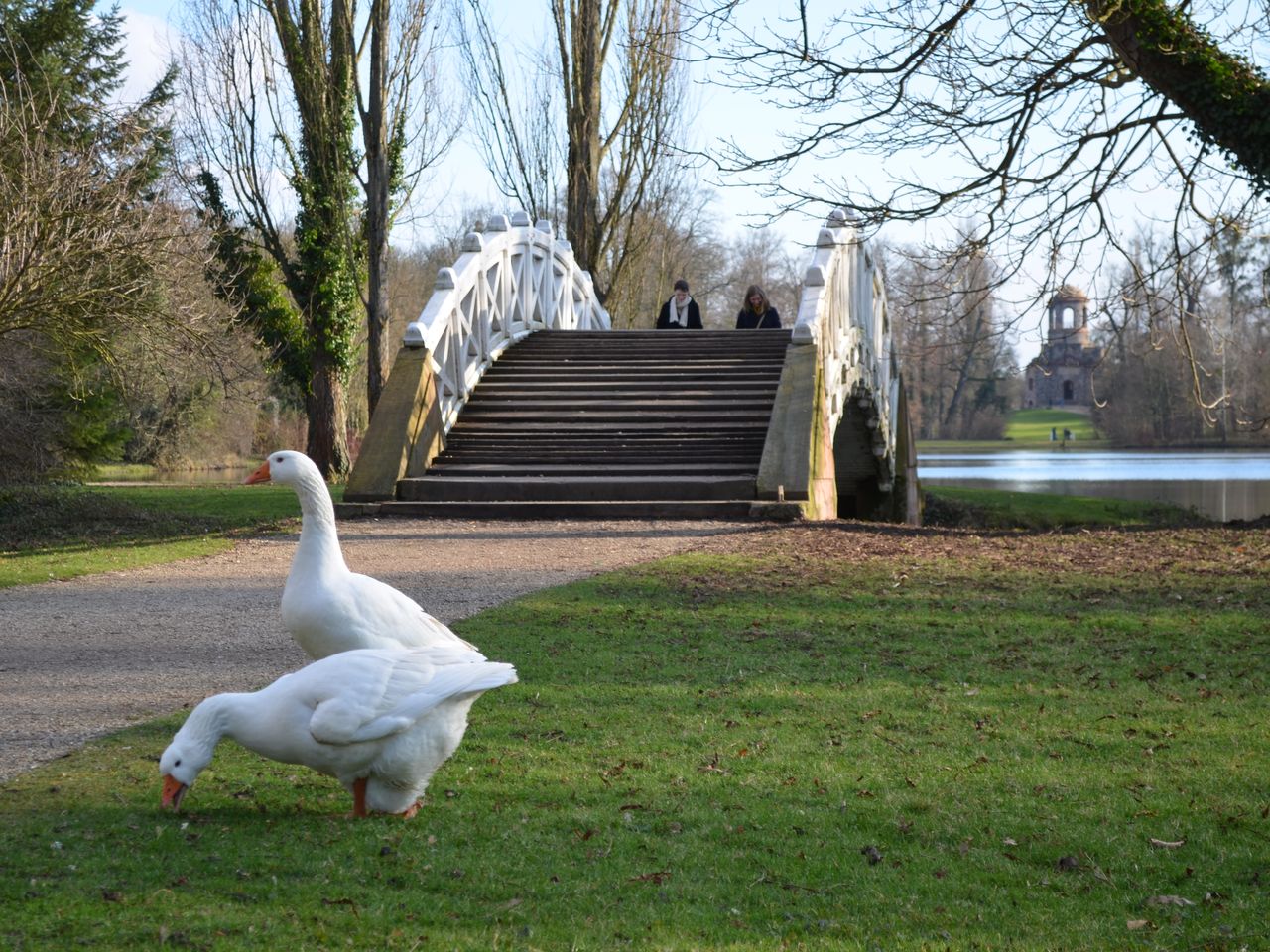 3 Tage Familienzeit in Heidelberg mit Zoo Heidelberg