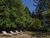 3 Tage Schloss-Harmonie mit Wellness und Genuss