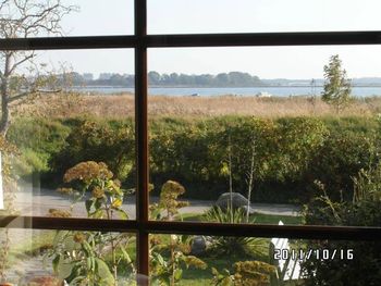 4 Tage im Pension Deichgraf mit Frühstück