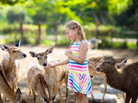 Heimat-Genuss inkl. Wildpark