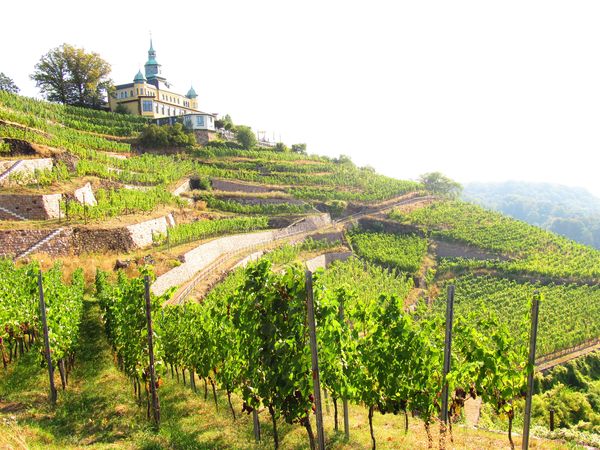 6 Tage im Radisson Blu Park Hotel mit Frühstück in Radebeul