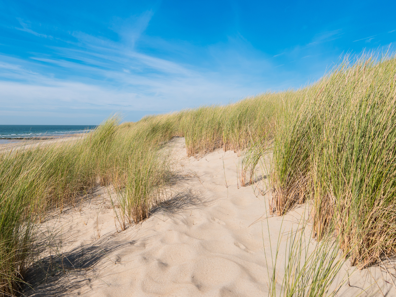 Ab an die Nordsee inkl. 1 x Abendessen