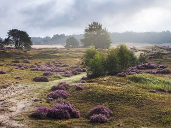 5 Tage Erholungsurlaub mitten in der Veluwe