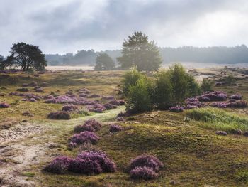 3 Tage Natur, Kunst & Erholung mitten in der Veluwe