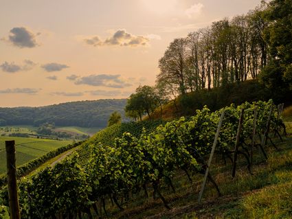 Wanderspaß in Mainfranken nahe Würzburg