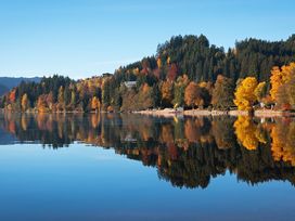Das ist Natur! 4 Tage mit Frühstück im NATURE TITISEE - Easy. Life. Hotel.