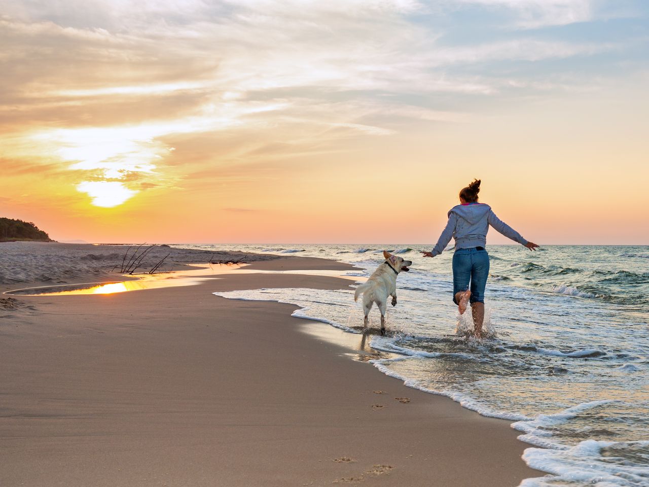 Kurztrip mit dem Hund an die Nordsee