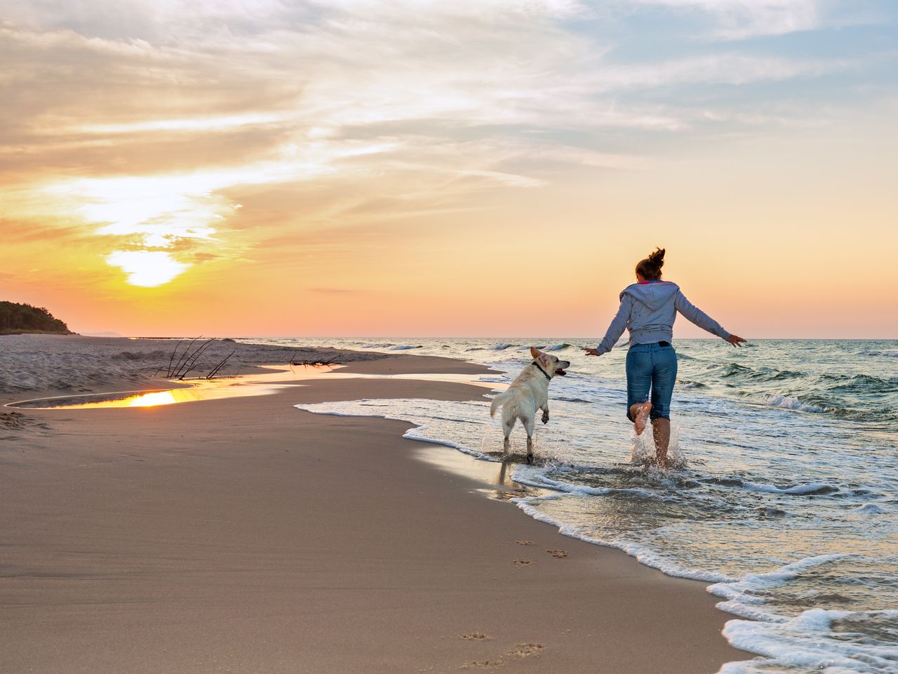 Mit dem Hund an die Nordsee