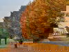Goldener Herbst in Kassel