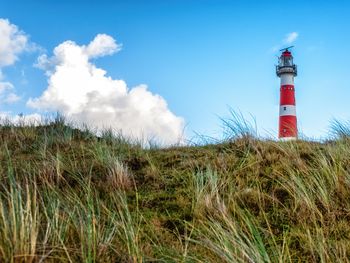 6 Tage Strandparadies Ameland Natur und endlose Weite