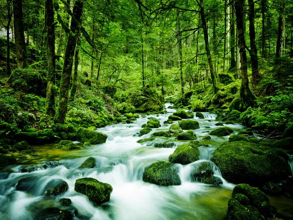 2 Tage Brockenwanderung in Ilsenburg (Harz), Sachsen-Anhalt inkl. Halbpension