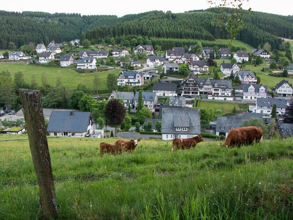 Ein Wanderwochenende im Sauerland inkl. SauerlandCard