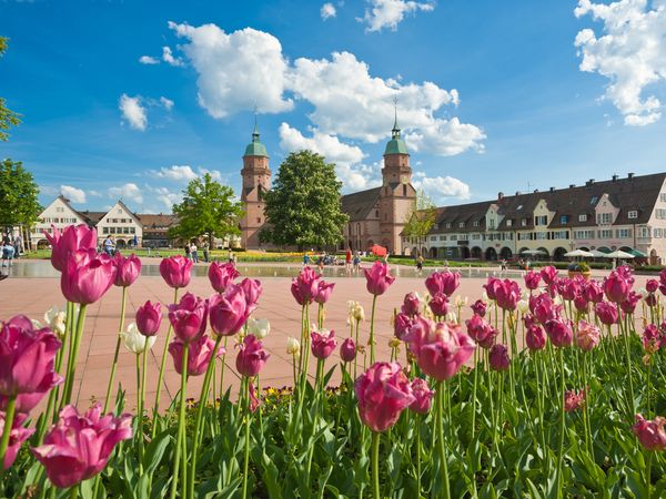 Wellness-Auszeit im Schwarzwald- 4 Tage mit Frühstück in Freudenstadt, Baden-Württemberg inkl. Frühstück