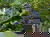 All Inclusive Auszeit im malerischen Harz