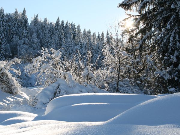 2 Tage Dolomiten Aktivurlaub: 1 Tag E-Bike & Wandern in Molveno, Trentino-Südtirol inkl. Frühstück