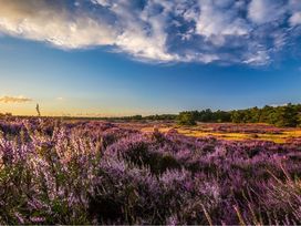 Niederlande: 3 Tage-Angebot Hansestadt Harderwijk auf der Veluwe