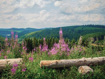 4 Tage Erlebnistage in Winterberg