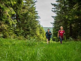 5 Tage Kurzurlaub in Wernigerode