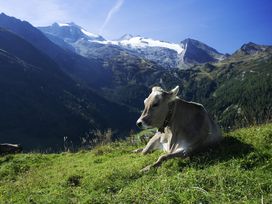 Sommerurlaub mit der ganzen Familie - 4 Tage