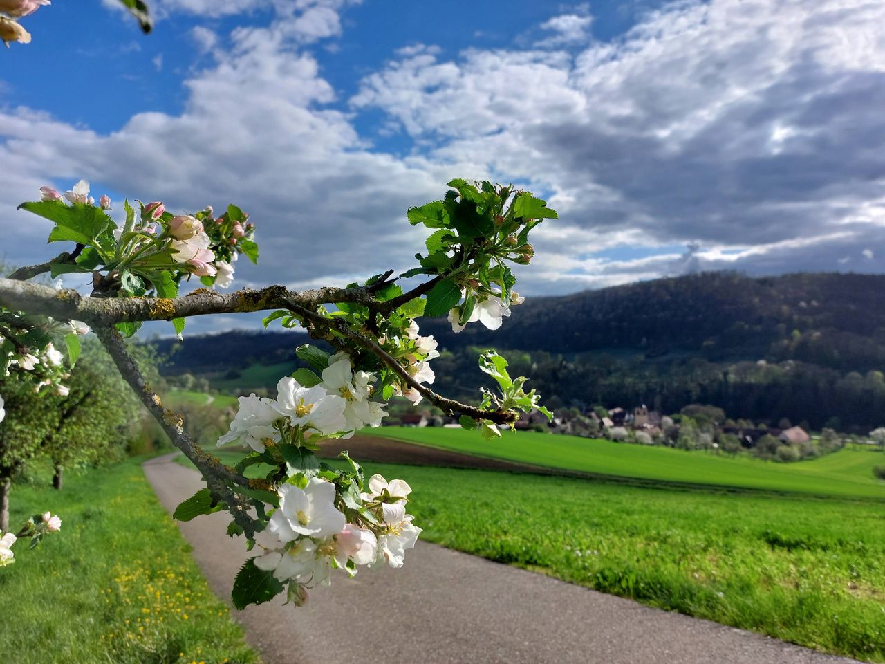 Naturparadies Hohenlohe:  6 Tage Auszeit mit Dinner
