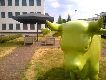 Bild 23 von 27