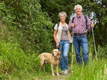 3 Tage Harzerlebnis pur