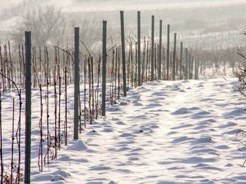 Romantische Weinreise zum Winzerhof