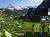 Relax & Activ im wunderschönen Pongau - 3 Tage