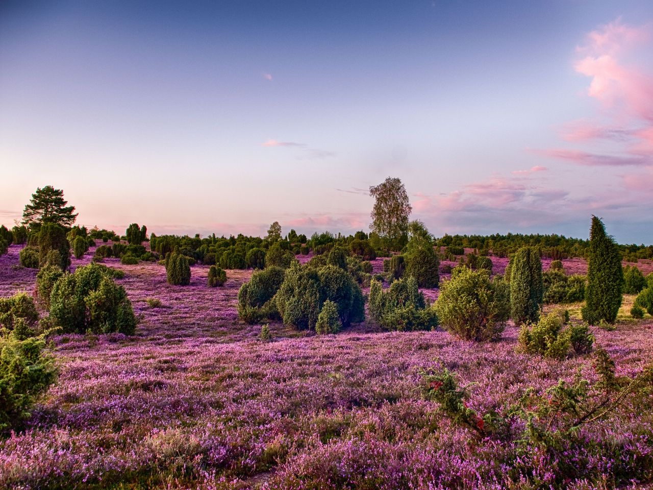 Durchatmen in der Lüneburger Heide