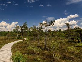 Mini-Auszeit für zwischendurch