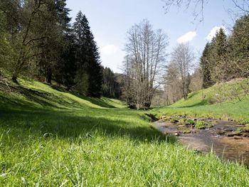 Unsere Auszeit im Schwarzwald 4 Tage