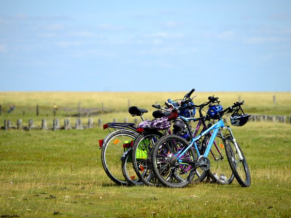 Nordsee-Auszeit mit Wellness mit Frühstück – 3 Tage Strandhotel Golfzang in Egmond aan Zee, Nordholland (Noord-Holland) inkl. Frühstück