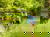 5 Tage Wellnessurlaub mit THERMEplus-Paket
