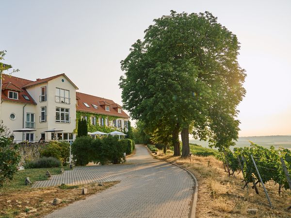 2 Tage Winterliche Kuscheltage inkl. Wärmflasche und Punsch in Sankt Johann (Rheinhessen), Rheinland-Pfalz inkl. Frühstück