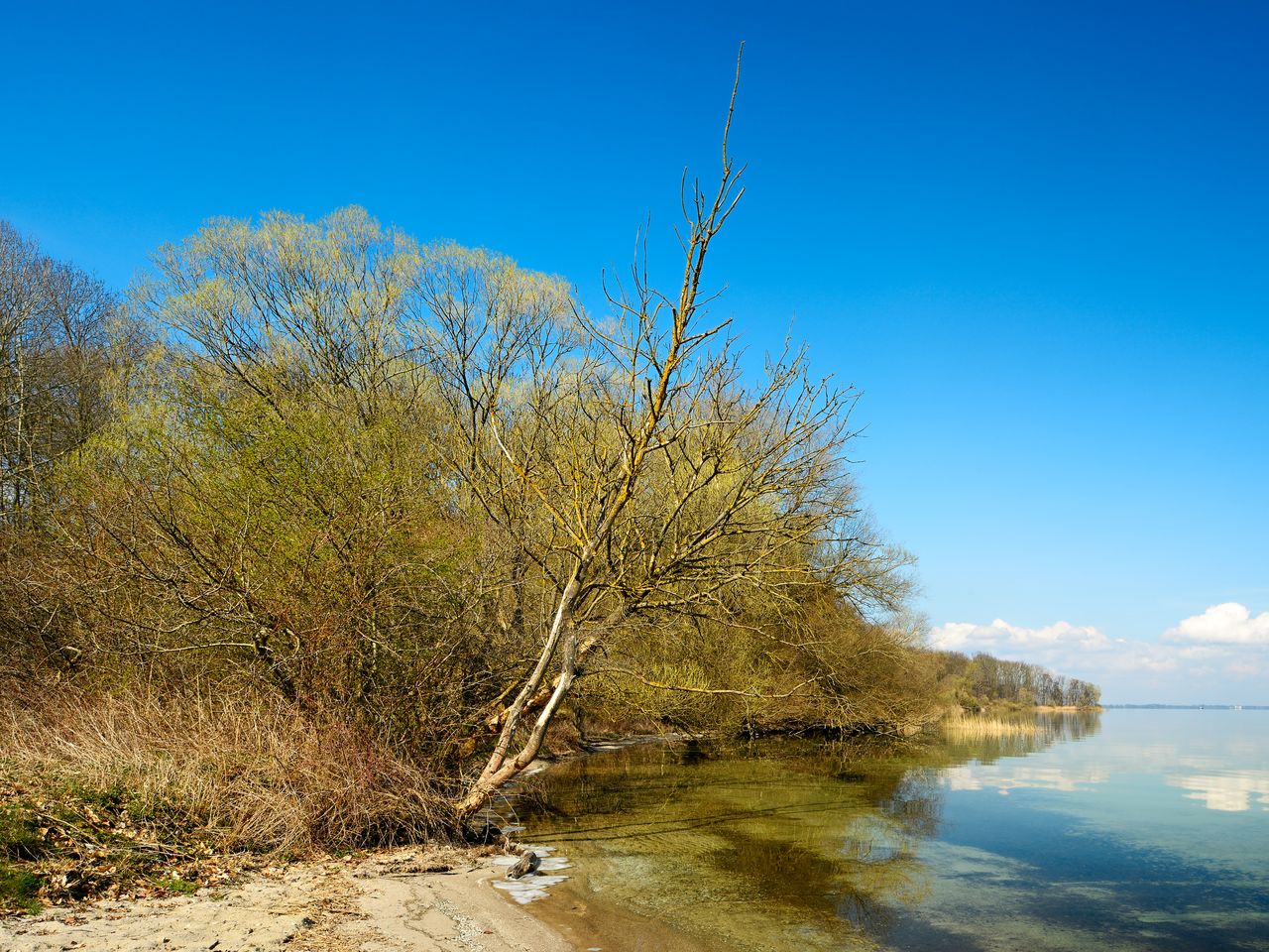Mecklenburgische Seenplatte im Schlosshotel - 7 Tage Urlaub mit Frühstück