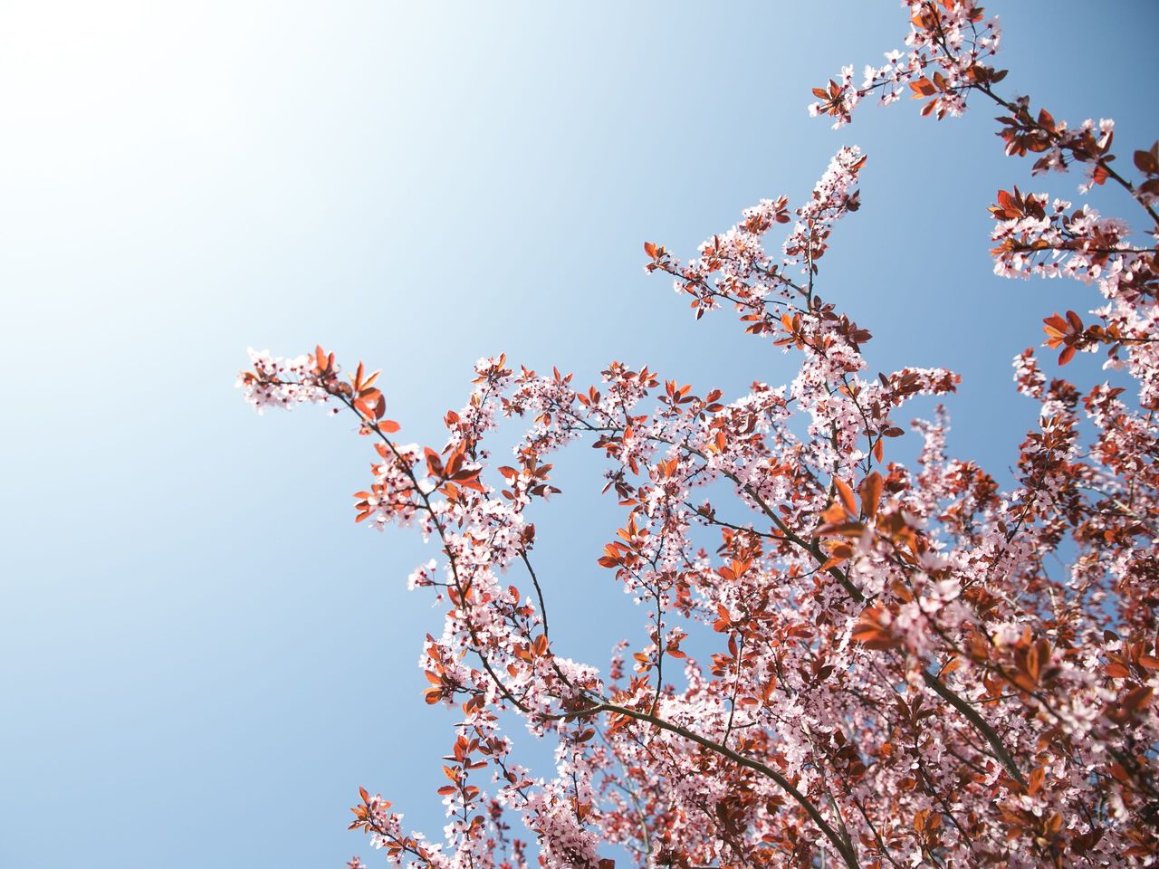 Grün. Bunt. Frühling!