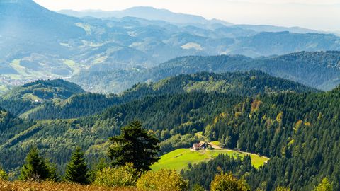 Schwarzwald