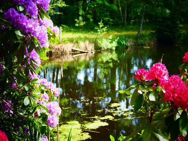 Zum Kennenlernen inkl. 5-Gang-Menü und Wellness in Essel OT Ostenholzer Moor, Niedersachsen inkl. Halbpension