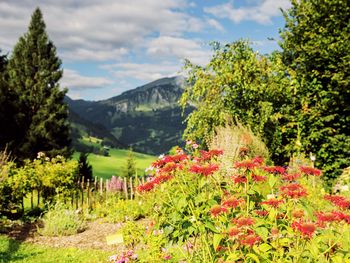 Bild 18 von 35