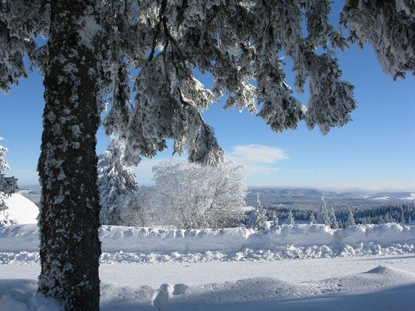 2 Tage Elzacher Krippenweg, Baden-Württemberg inkl. Frühstück