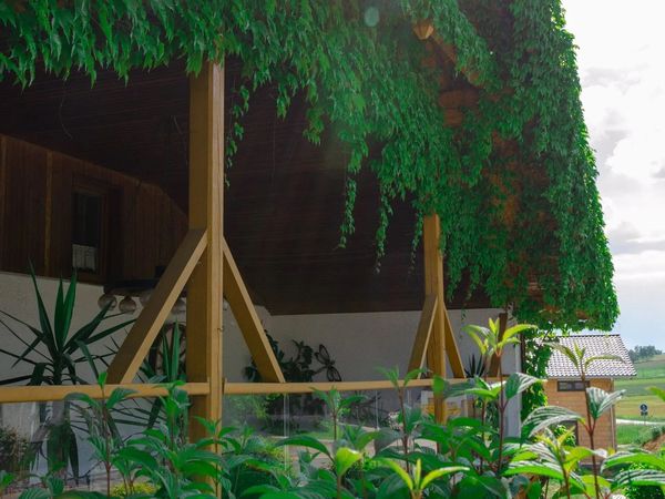 5 Tage Wandern im Bayerischen Wald in Eschlkam Halbpension